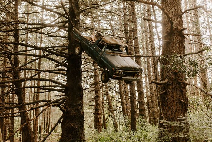 Mientras conducía a través del bosque, encontré esta camioneta atascada en un árbol 