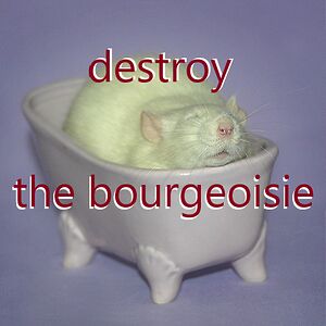 73988 avatar