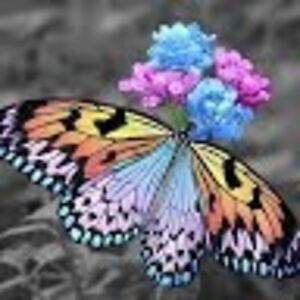leannehailes avatar