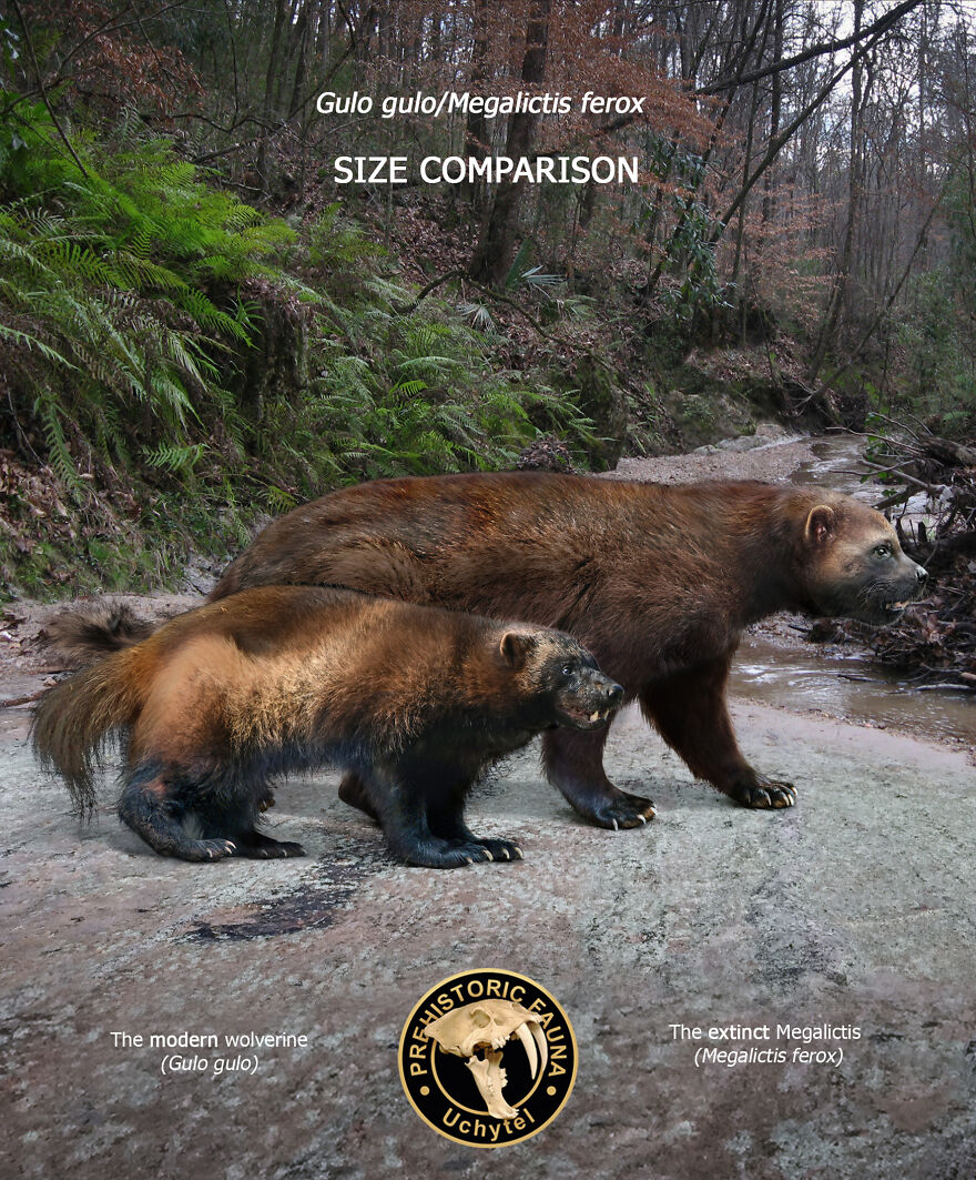 Artist Continues To Make Comparisons Between The Sizes Of Prehistoric Animals And Their Modern Relatives (20 New Pics)