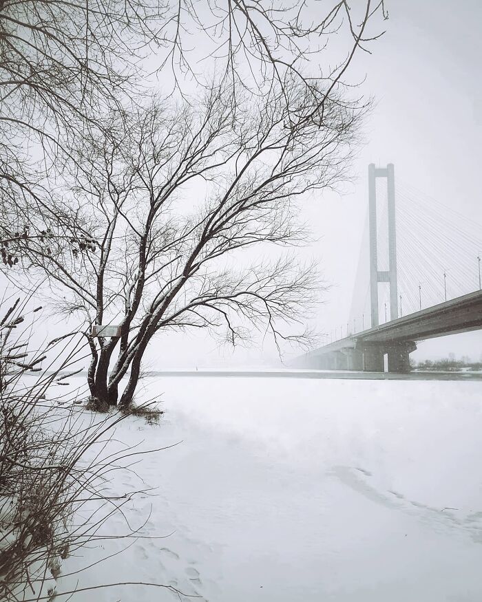 South Bridge, Kyiv