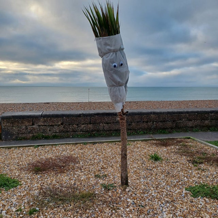 Someone Eye-Bombed Plants Wrapped For Winter!