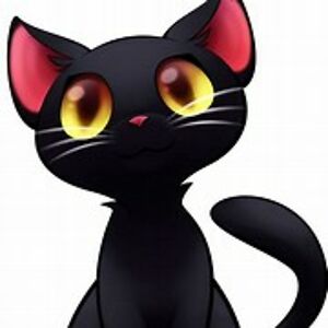 arcoope13 avatar