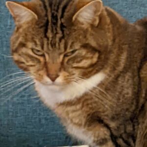 samlouisfish avatar