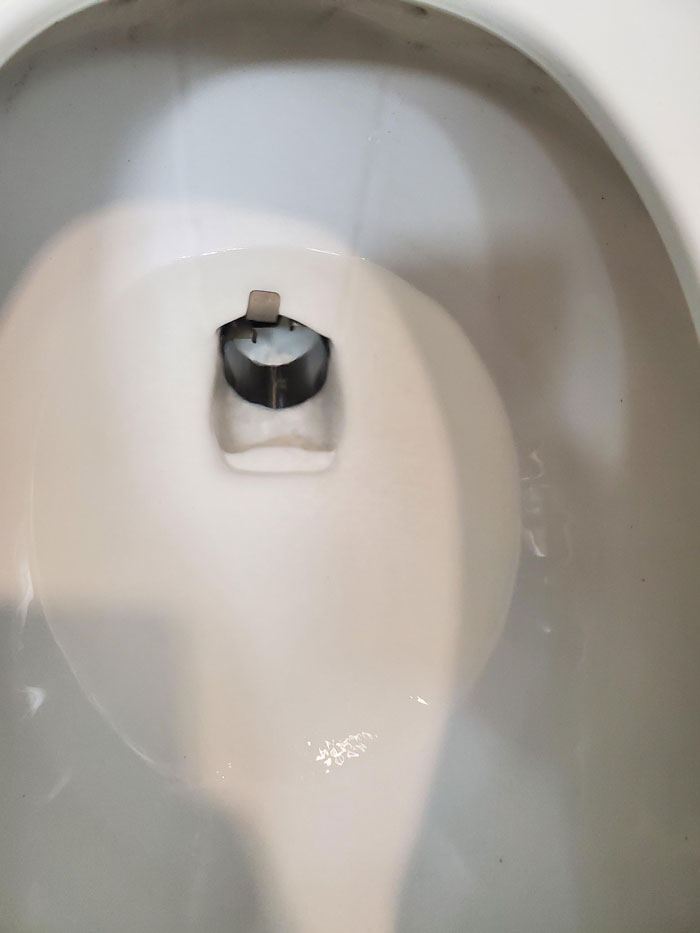 Witt: This Metal "Ring" Was In Every Toilet In A Hospital. No Search I Have Done Was Able To Locate A Match Or Answer