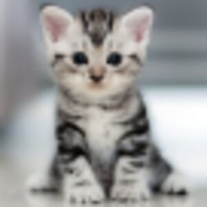 myronmog avatar