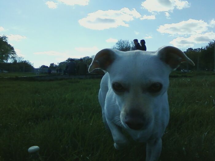 Two People Riding On My Dog