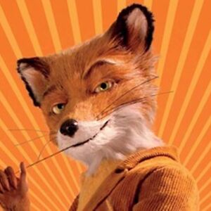 acuite-bousculade_0q avatar