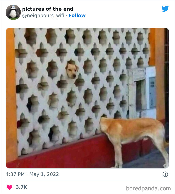 Funny-Confusing-No-Context-Pics