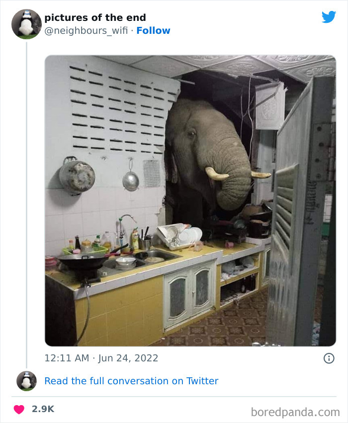 Funny-Confusing-No-Context-Pics