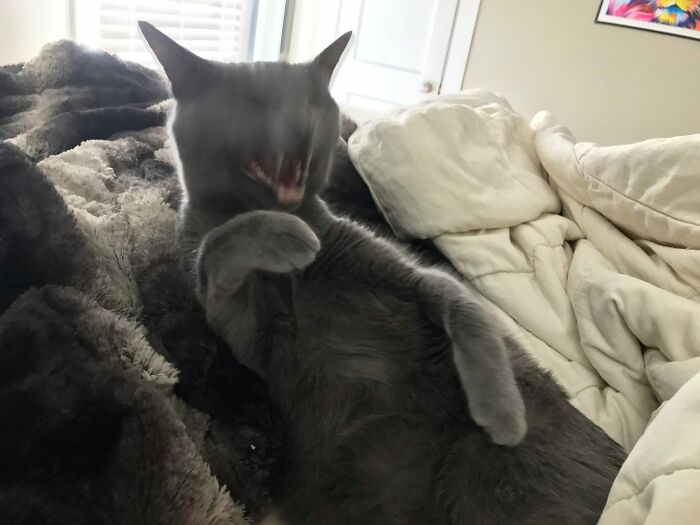 Ahhhh-Choooo