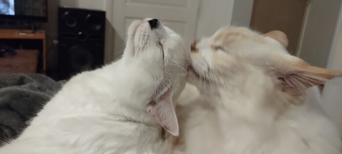 Bath Time
