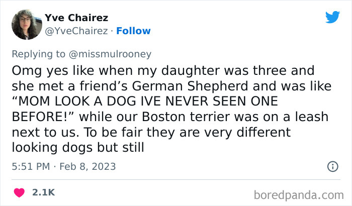 Kids-Realizing-Their-Cats-Dogs-Are-Pets-Not-Humans
