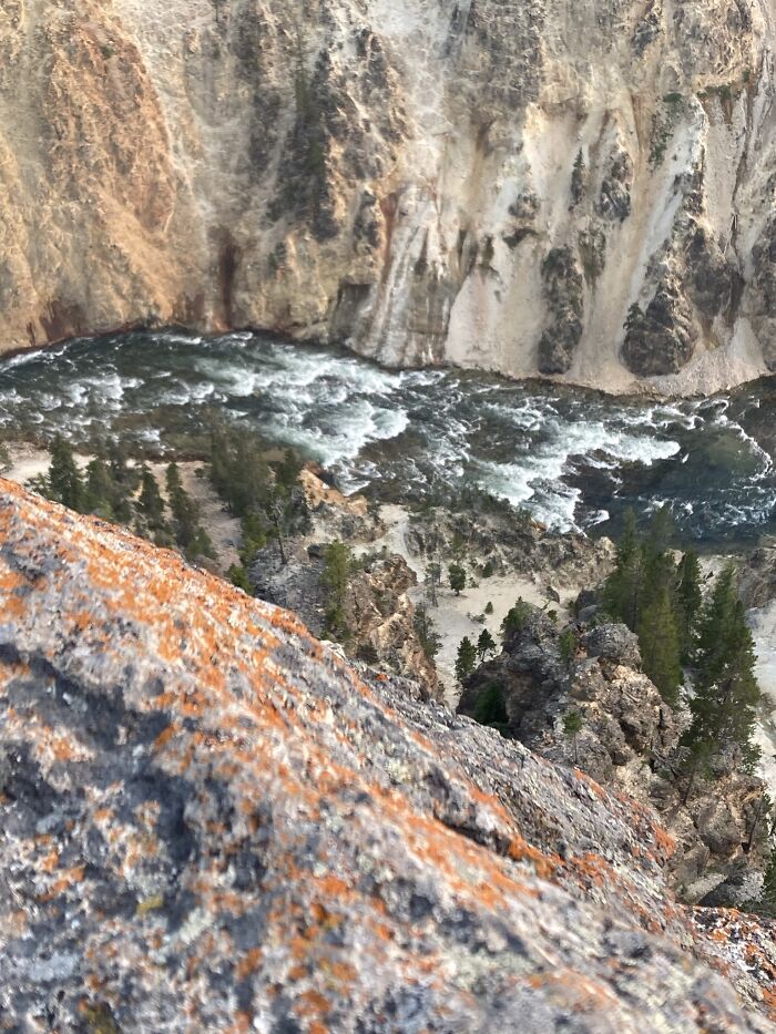 Yellowstone