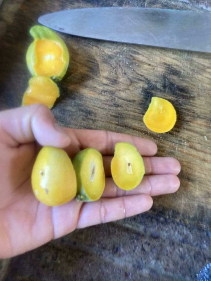 The Rains Have Blessed Us With Some Sweet Mangos