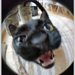 h-annamay avatar