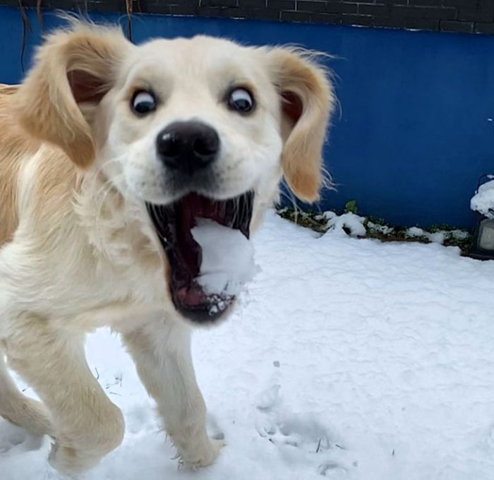 First Time Playing In The Snow