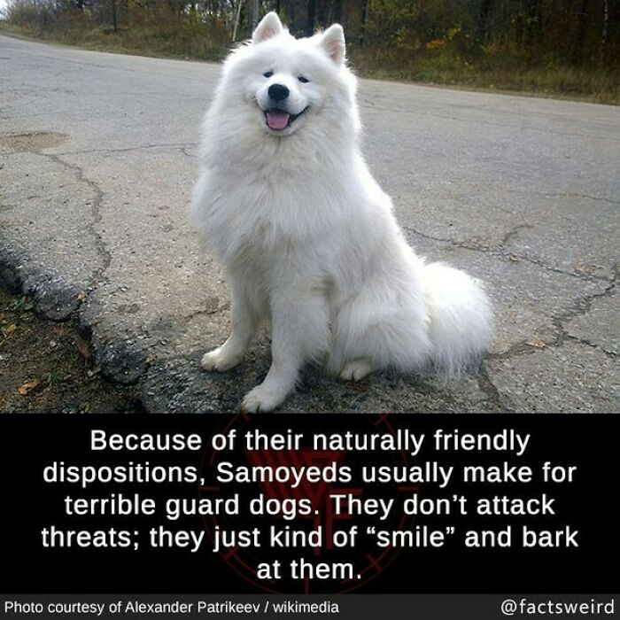 Weird-Interesting-Cool-Facts