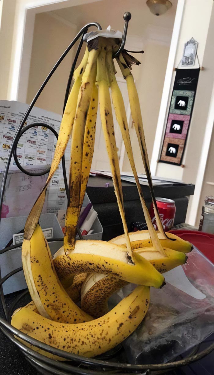 Cursed-Food-Pics