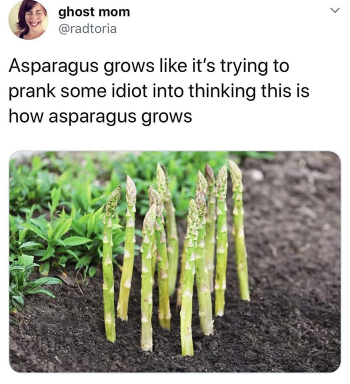 Asparagus growing humorously, resembling a science meme from a popular Facebook group.