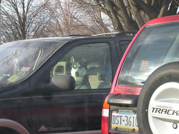 Serious Driver