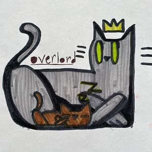 stackhouse-charlotte avatar