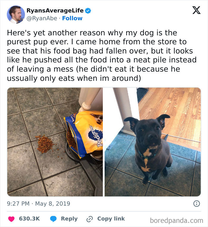 Dog meme showing a neat pile of spilled food next to a food bag and a cute dog sitting nearby.
