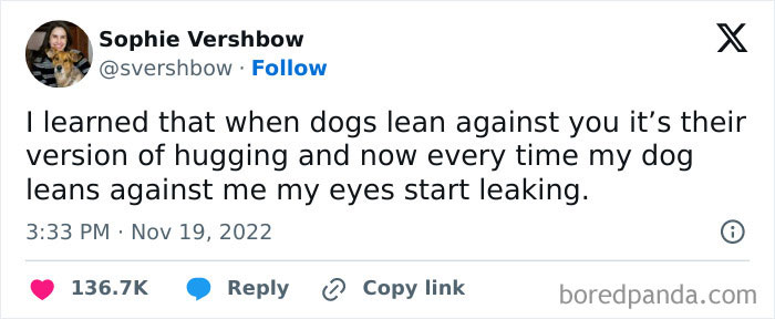 Tweet joking about dog hugs and how they make the owner's eyes leak, sharing a heartwarming moment.