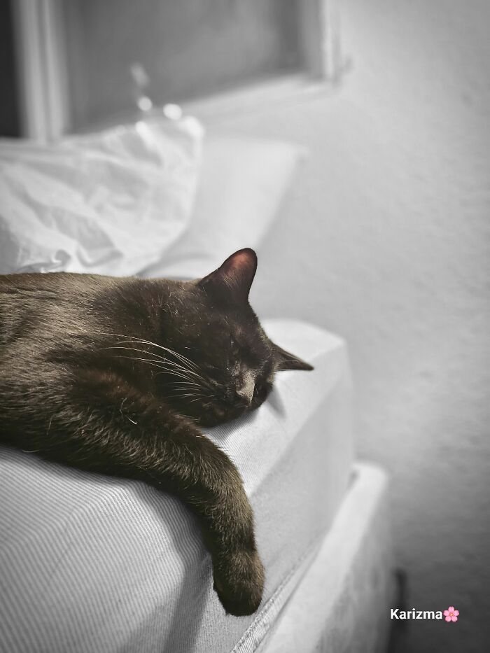Melancholy