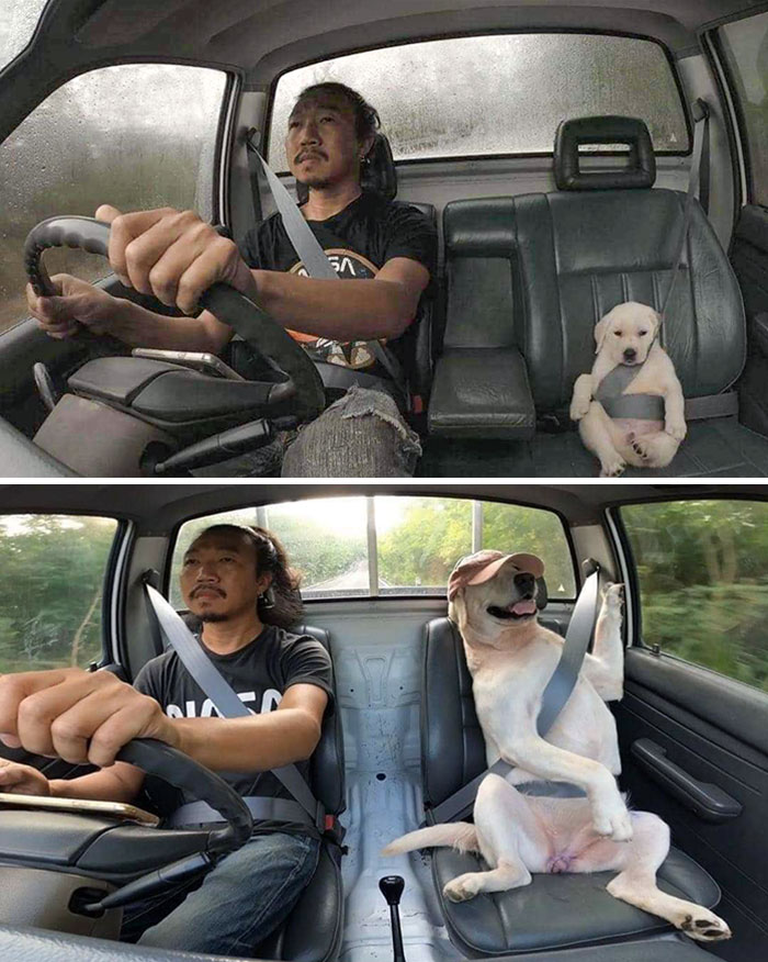 Before And After