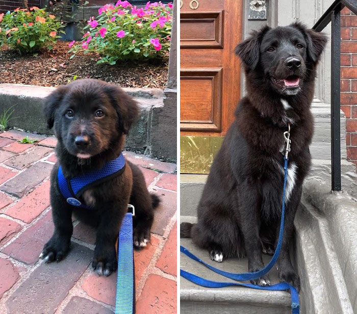 How It Started vs. How It's Going