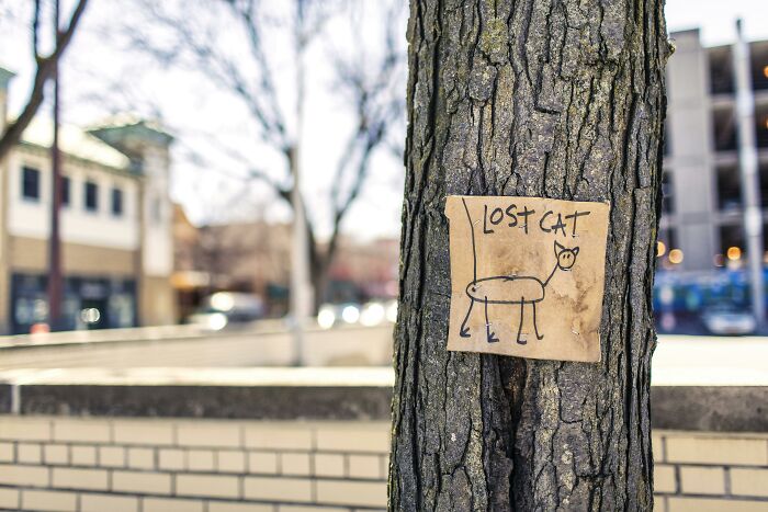 33 Of The Deepest Rabbit Holes People Ever Found Themselves Delving Into, As Shared Online 