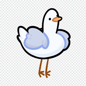 SEAGULL