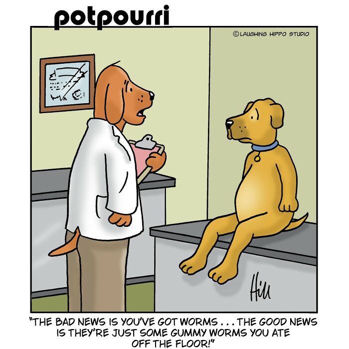 Laughing Hippo Studio: Doug Hill's Hilarious Comics Delight All Ages (75 New Pics)