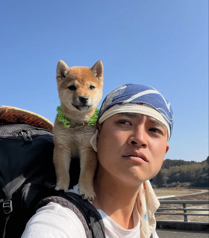 This Man Adopted A Shiba Inu Puppy On His Journey Across Japan—and Their Story Might Melt Your Heart