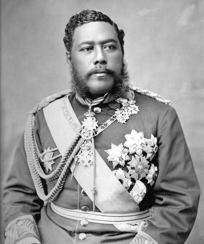 Portrait of a royal figure in formal military attire, showcasing surprising facts about royals in history textbooks.