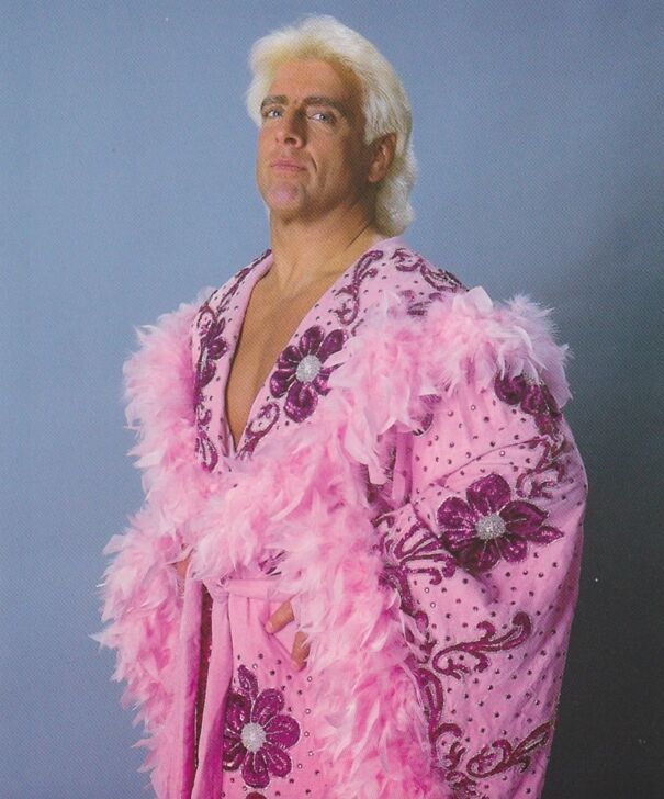 Ric-Flair-pink-robe-6825ba49cbc1c.jpg