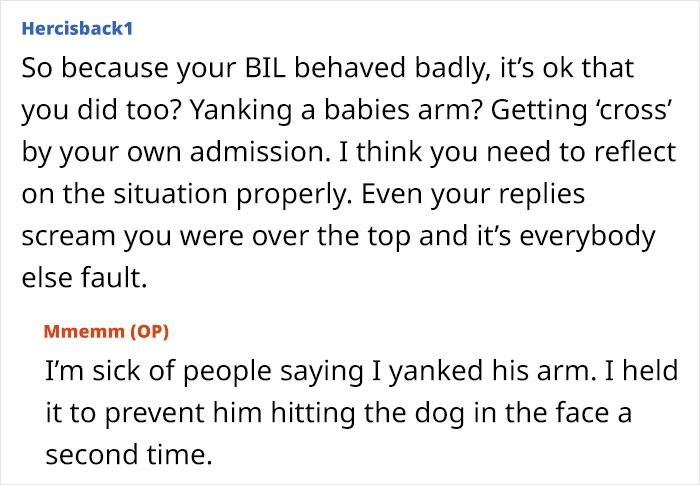 Online discussion about disciplining toddler, with mom demanding apology from sister for parenting approach.