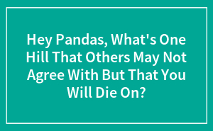 Hey Pandas, What's One Hill That Others May Not Agree With But That You Will Die On? (Closed)