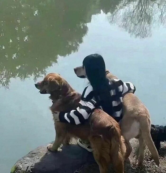 Person hugging two dogs near a calm pond, showcasing cute and funny animal images in a peaceful outdoor setting.