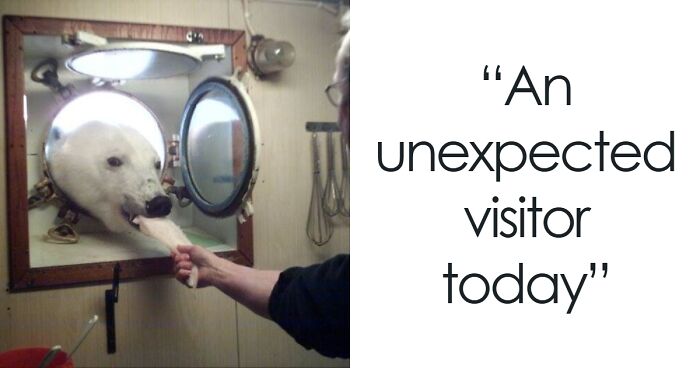 50 Photos So Interesting They Feel Illegal To Look At Without Protective Eyewear