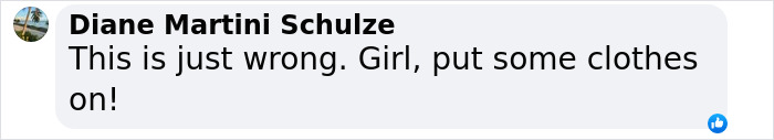 Facebook comment screenshot by Diane Martini Schulze criticizing Miley Cyrus' sister Noah's revealing look after a Hannah Montana post.