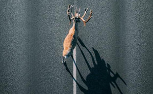37 Striking Aerial Shots By Photographer Borsch