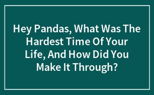 Hey Pandas, What Was The Hardest Time Of Your Life, And How Did You Make It Through?